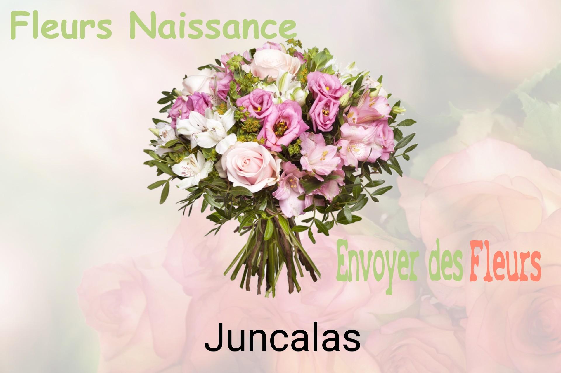 Bouquet de fleurs de naissance livré à Juncalas