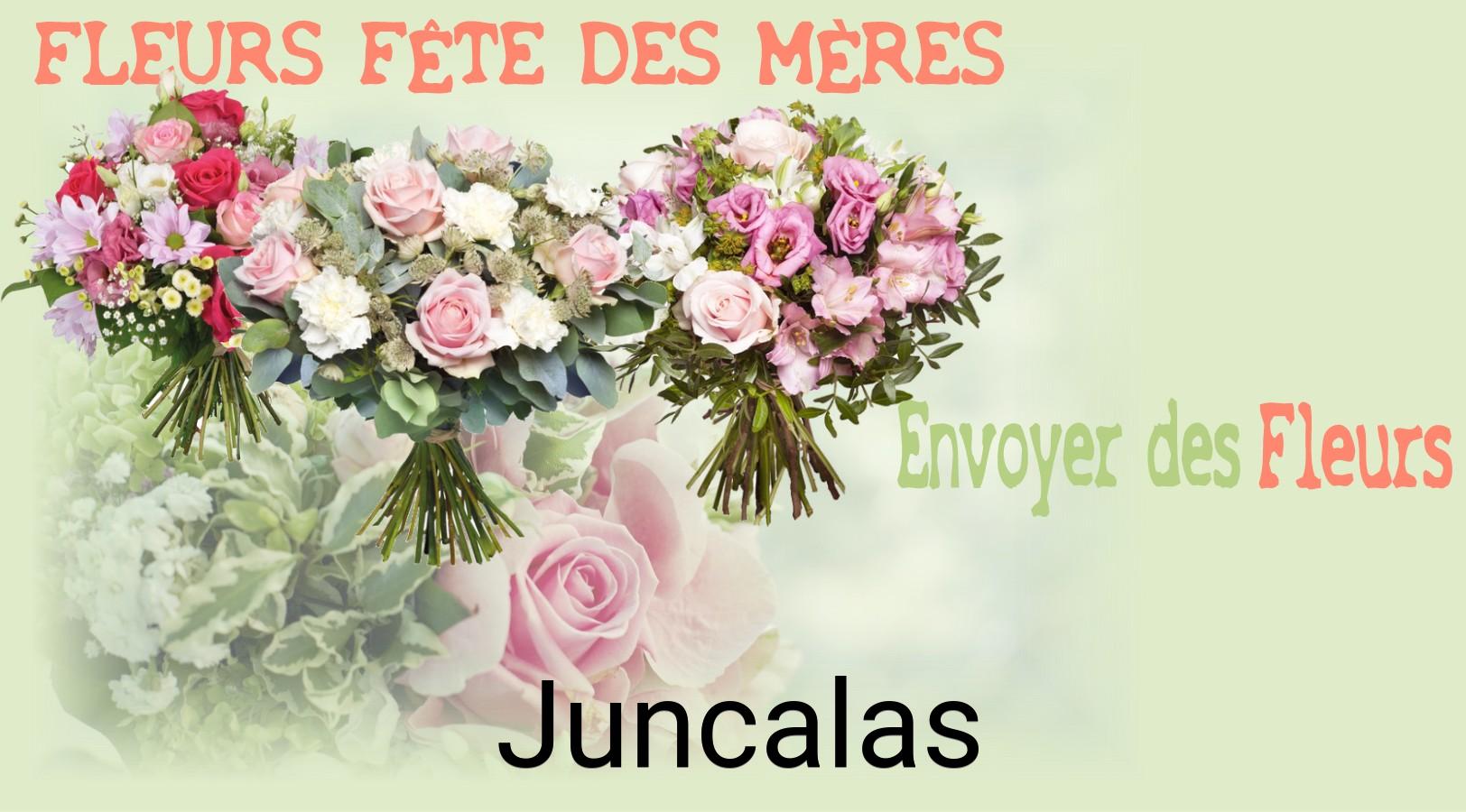 Bouquet de Fête des Mères livré à Juncalas